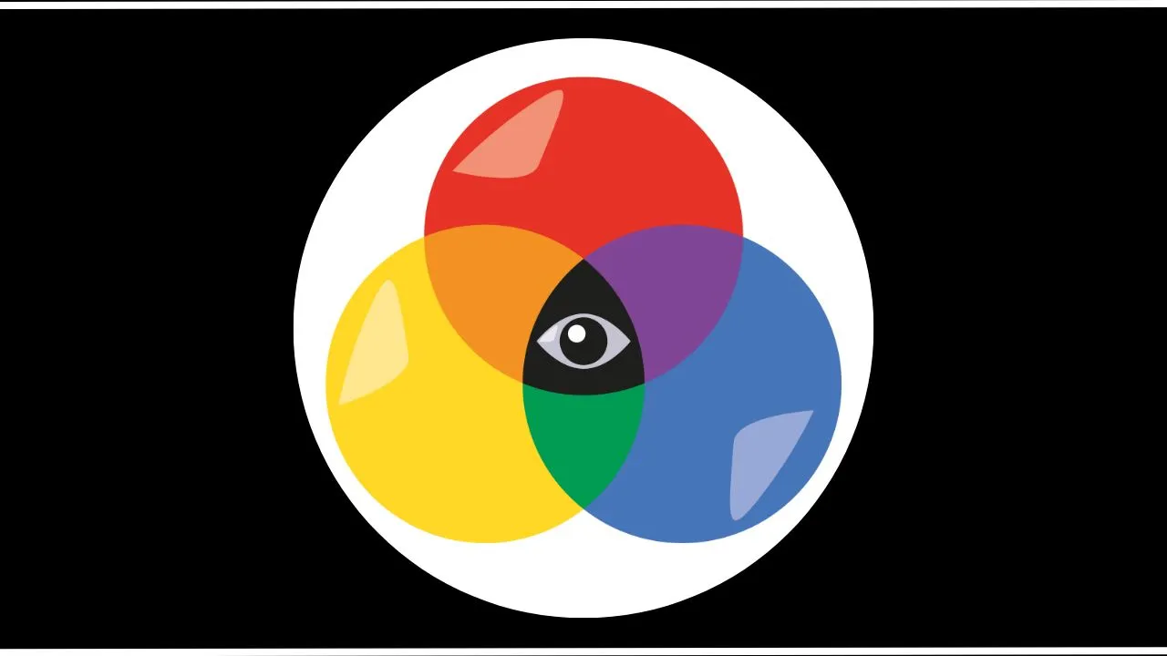 Understanding Color Blindness: Types, Causes, and Daily Impact